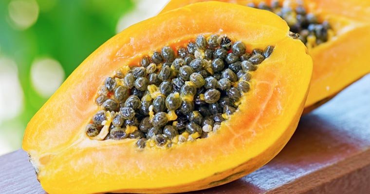 papaya