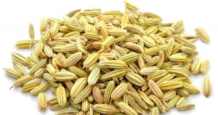 Fennel Seeds