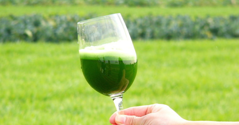 Barley Grass Juice