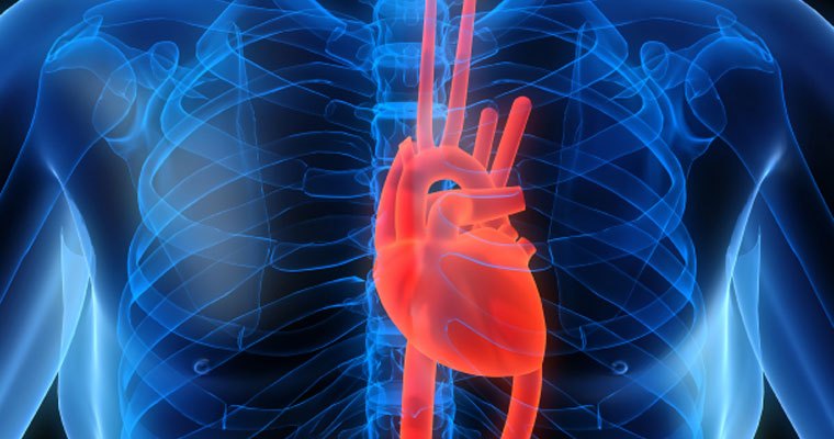 Cardiovascular diseases myths