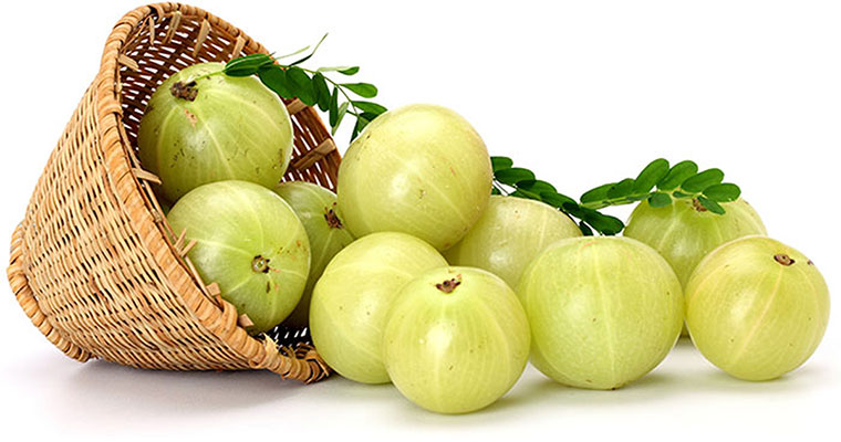 gooseberry or Amla During Pregnancy